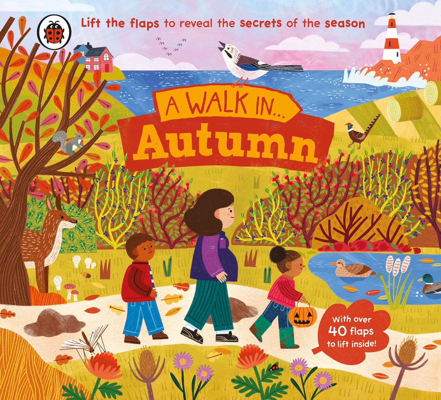 A Walk In Autumn: Lift The Flaps To Reveal The Secrets Of The Season