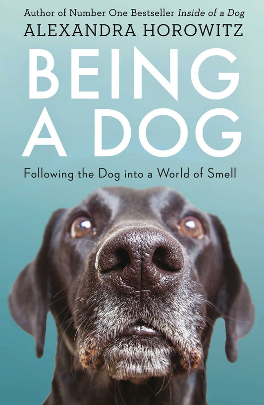 Being A Dog: Following The Dog Into A World Of Smell
