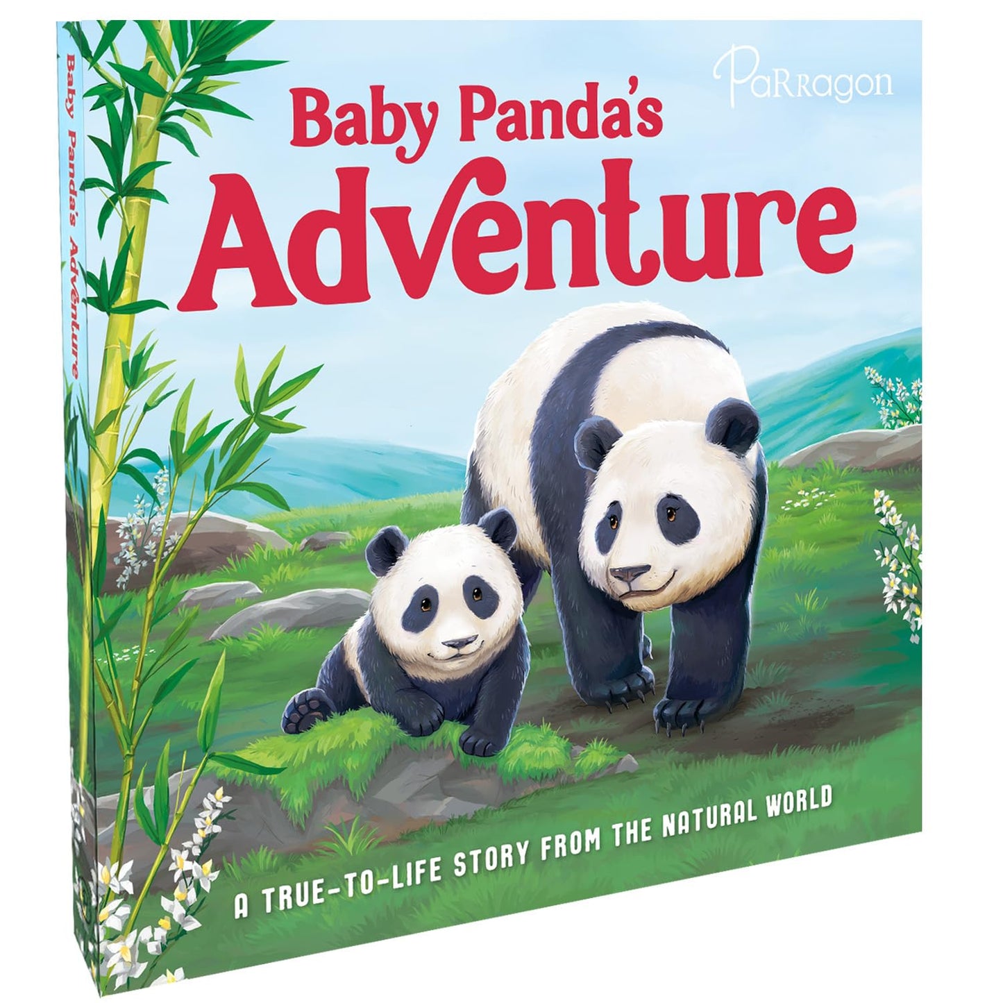 Baby Panda's Adventure | True-To-Life Board Book For Kids