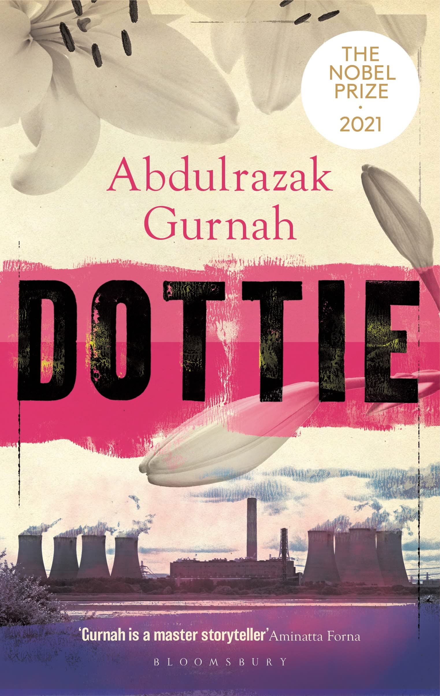 Dottie: By The Winner Of The Nobel Prize In Literature 2021