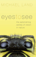 Eyes To See C