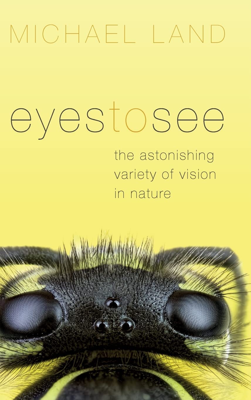 Eyes To See C