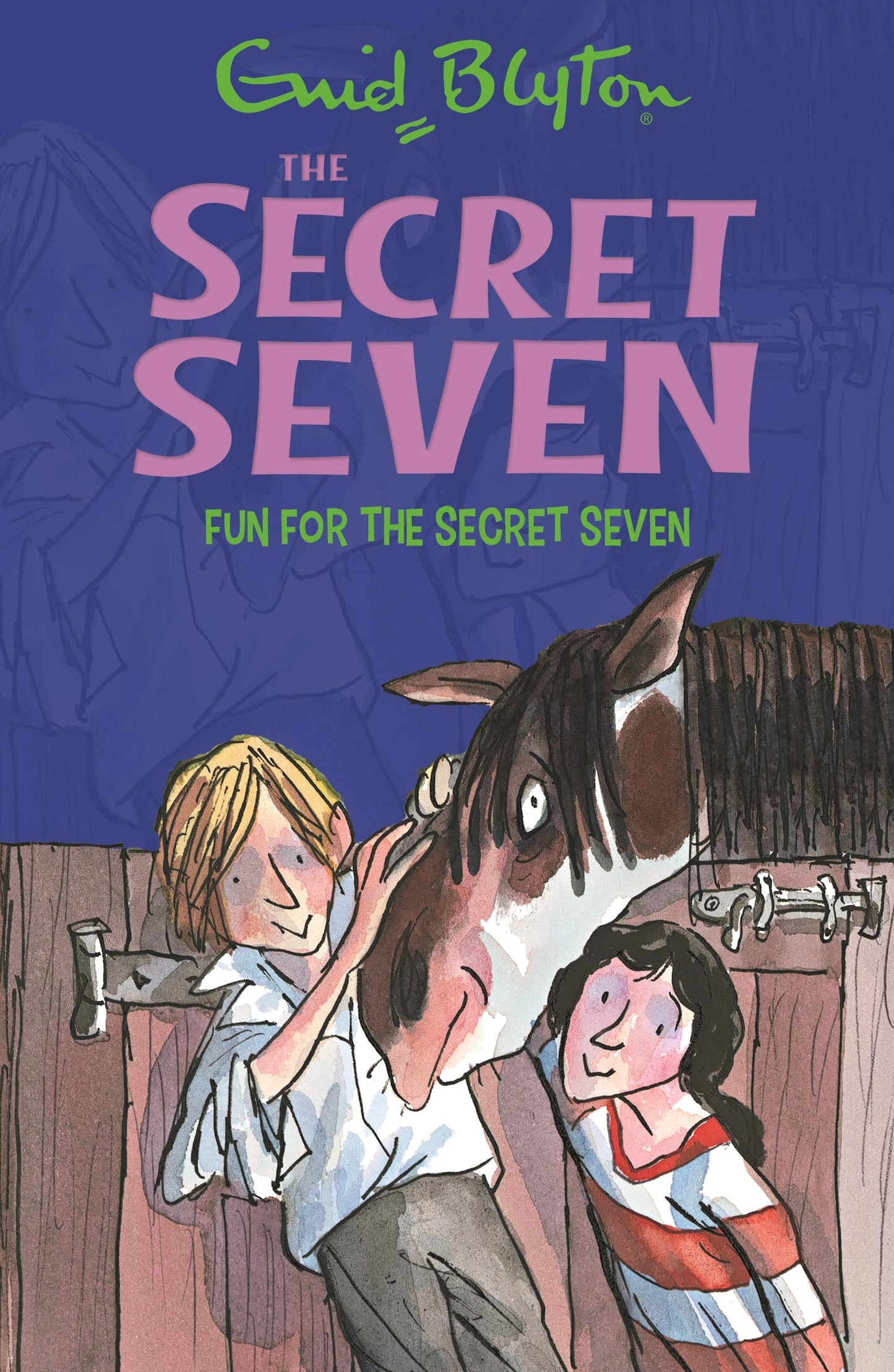 The Secret Seven Series #15: Fun For The Secret Seven