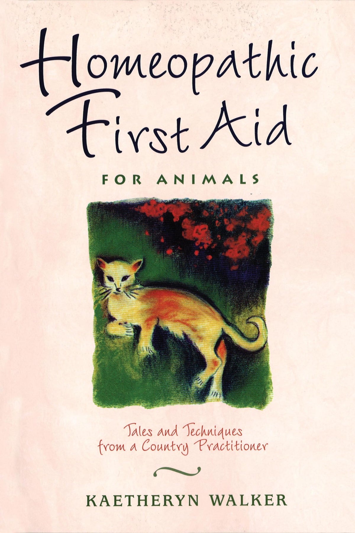 Homeopathic First Aid For Animals: Tales And Techniques From A Country Practitioner