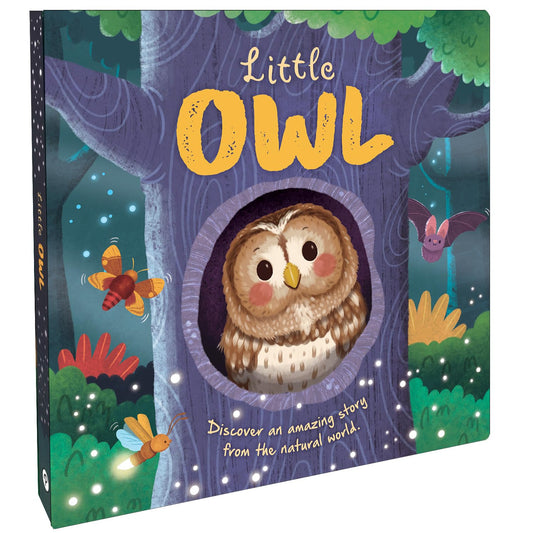 Little Owl | Engaging Board Book With A Heartwarming Story