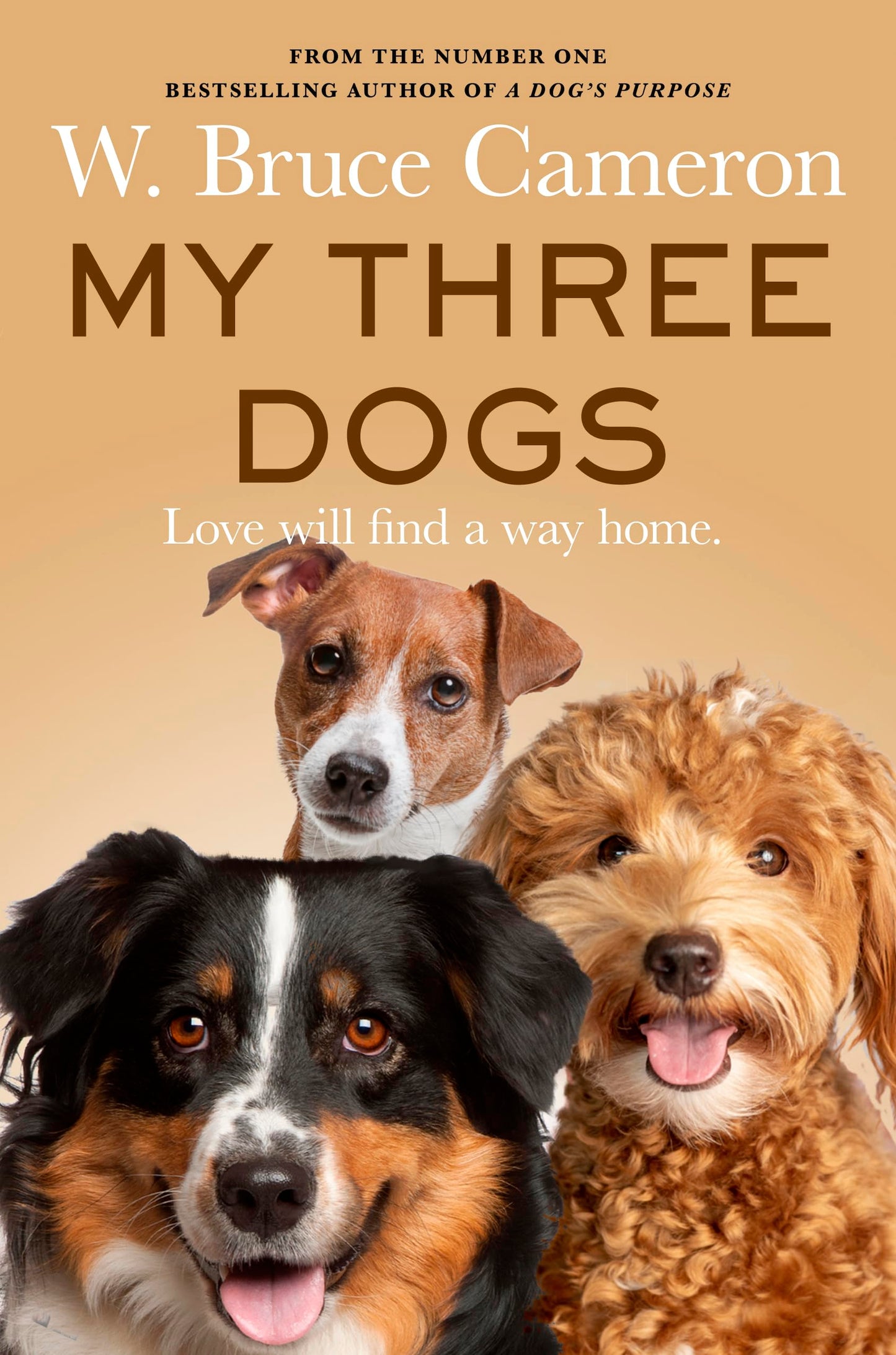 My Three Dogs: A Heartwarming Tale About Friendship, Family And Finding Home, From The Author Of A Dog's Purpose
