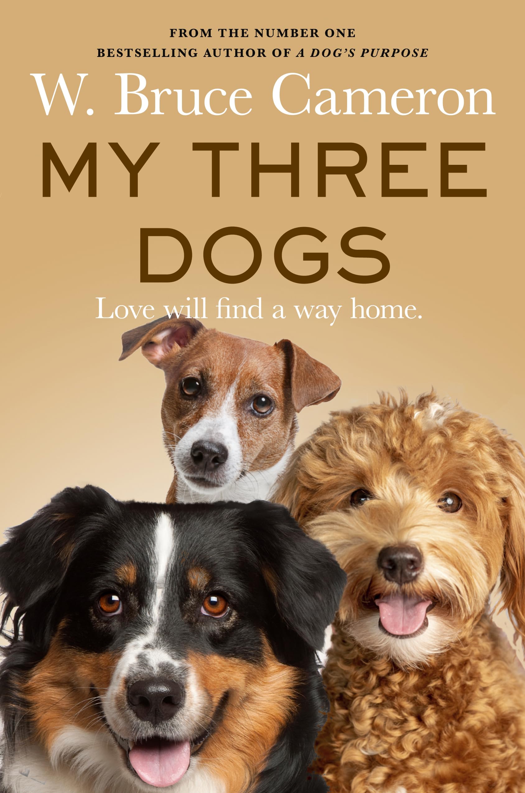 My Three Dogs: A Heartwarming Tale About Friendship, Family And Finding Home, From The Author Of A Dog's Purpose
