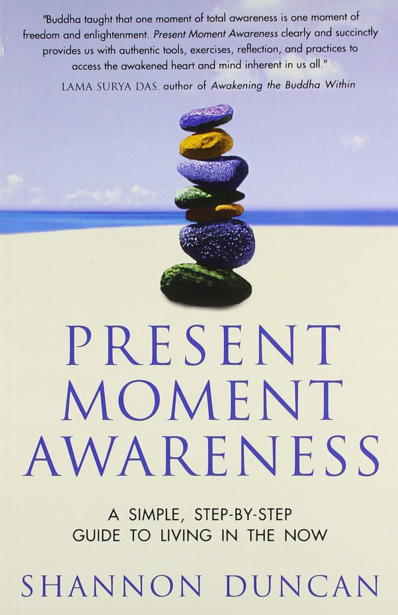 Present Moment Awareness (English, Paperback, Duncan Shannon)