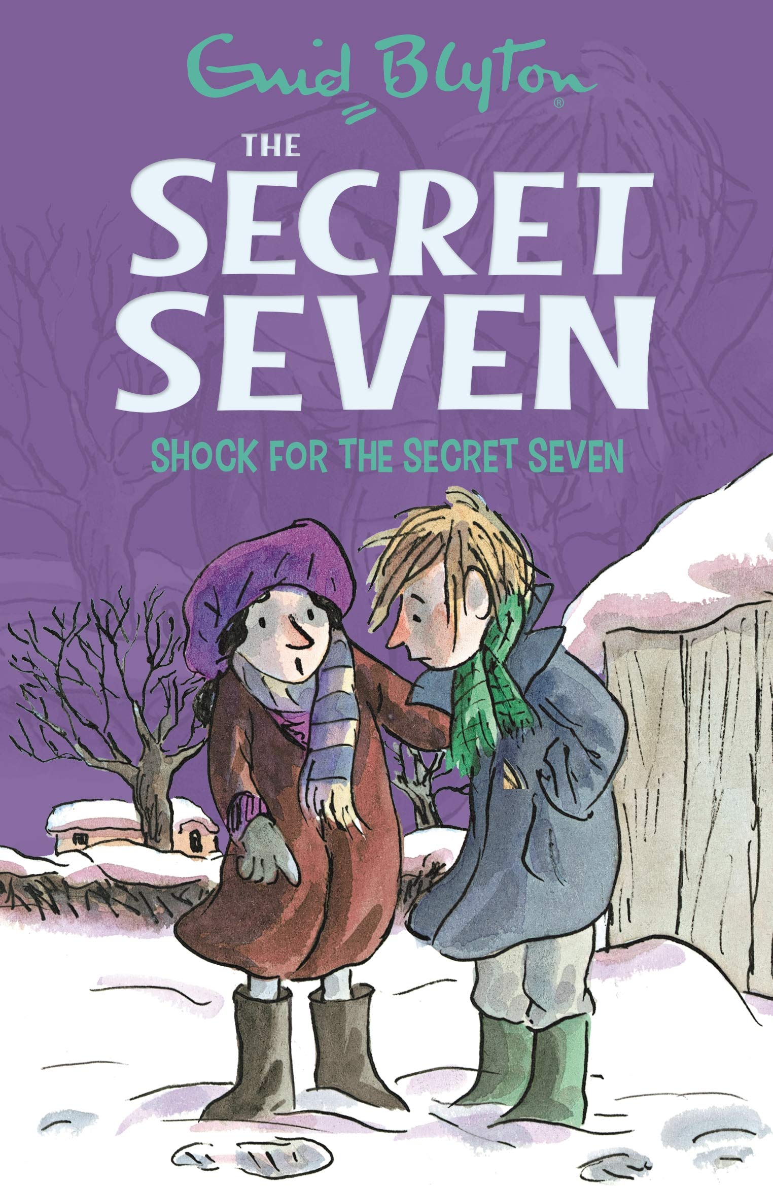 The Secret Seven Series #13: Shock For The Secret Seven