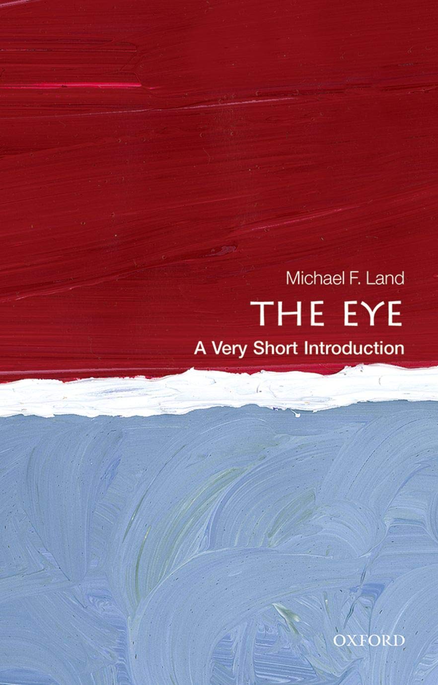 The Eye VSI