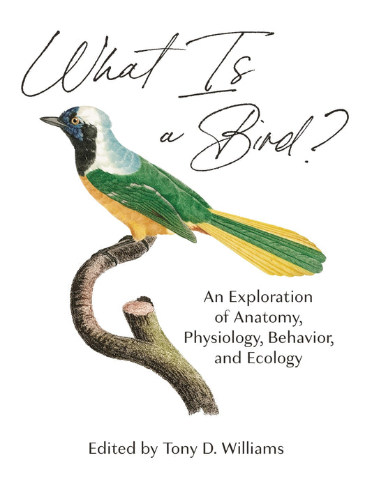 What Is A Bird?: An Exploration Of Anatomy, Physiology, Behavior, And Ecology