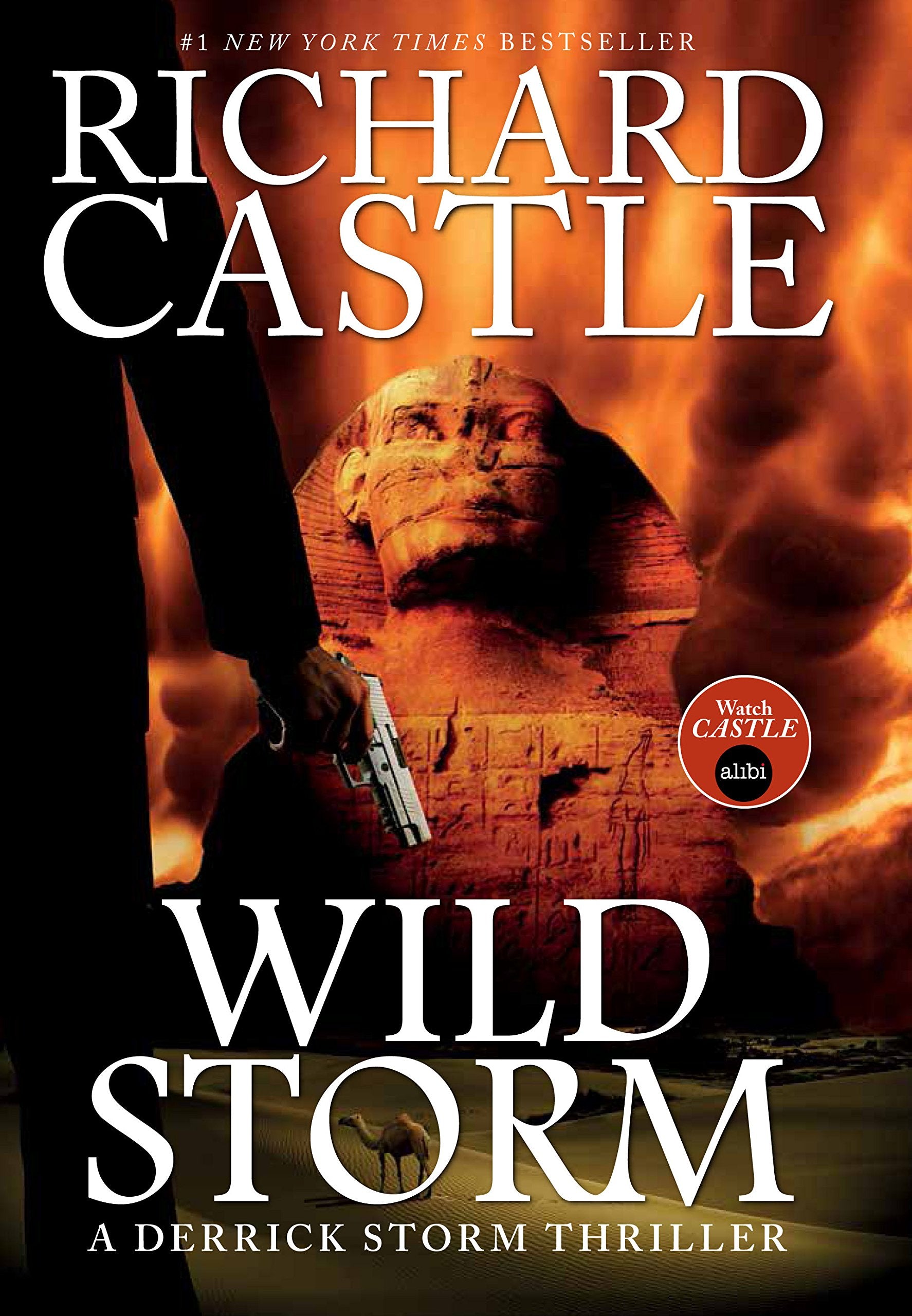 Wild Storm: A Derrick Storm Novel