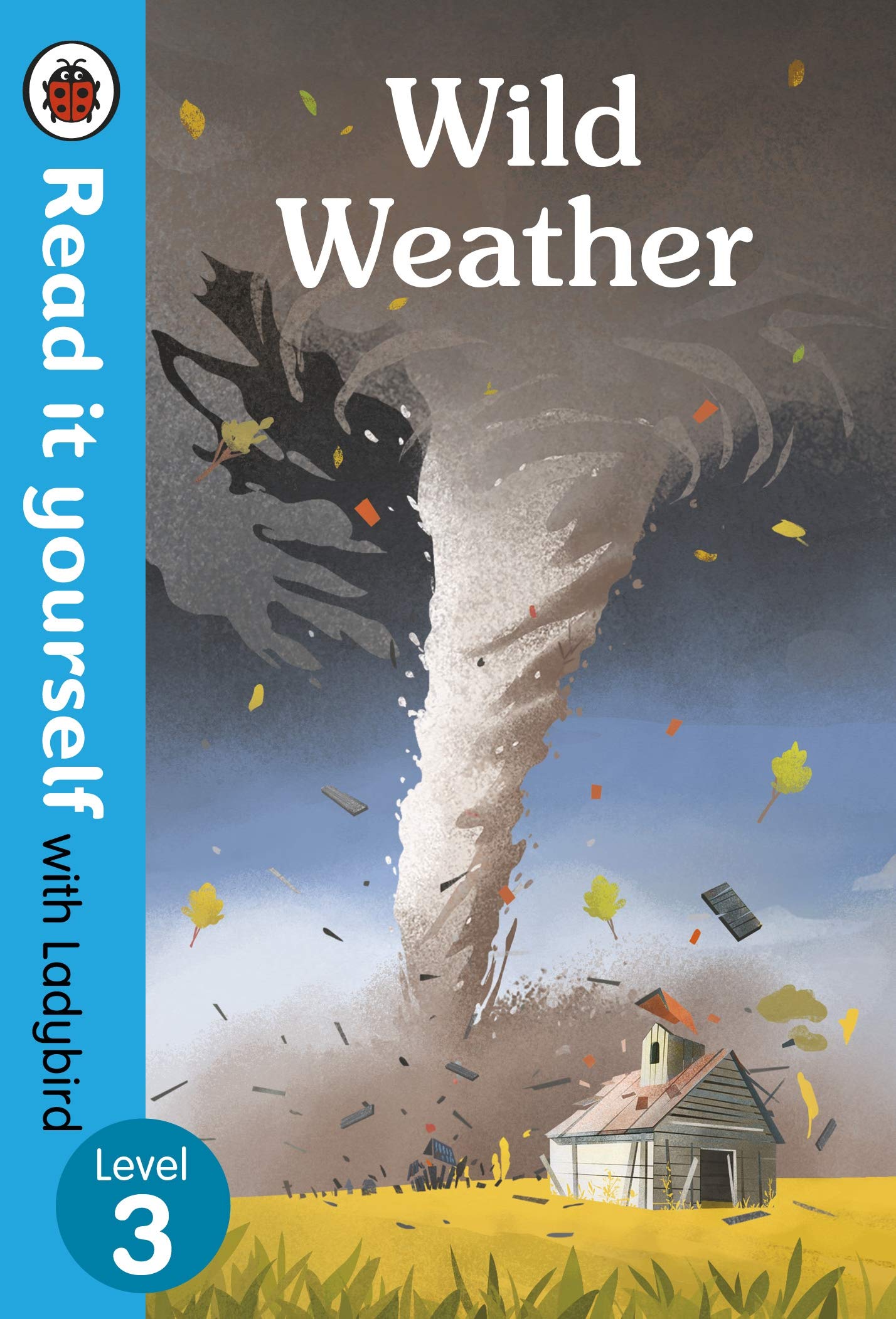 Wild Weather Read It Yourself With Ladybird Level 3
