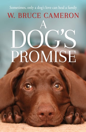 A DOG'S PROMISE