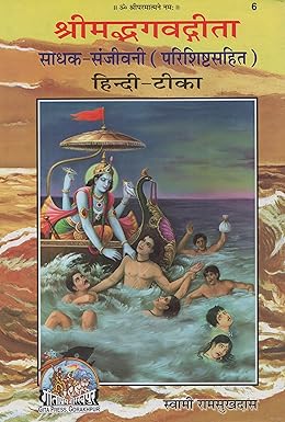 SHRIMADBHAGVADGITA SADHAK SANJEEVANI, KING SIZE