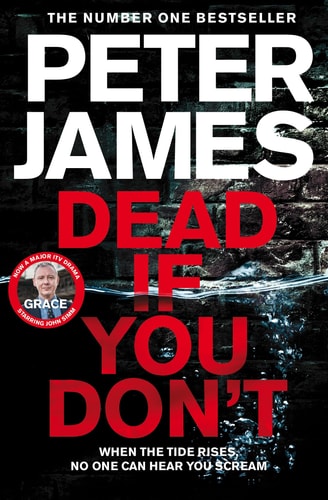 Dead If You Don't (Detective Superintendent Roy Grace, 14)