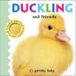 Duckling and Friends Touch and Feel (Baby Touch and Feel)