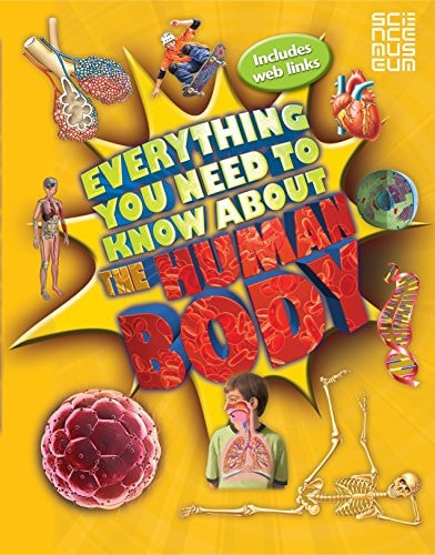 Everything You Need To Know About The Human Body (Everything You Need to Know)