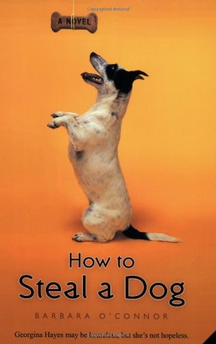How to Steal a Dog: A Novel