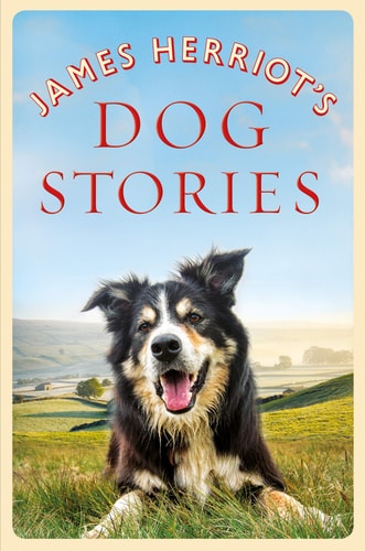James Herriots Dog Stories