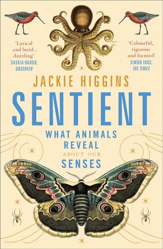 SENTIENT