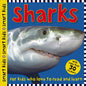 Smart Kids Sharks: With More Than 30 Stickers (Smart Kids)