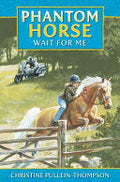 Wait for Me