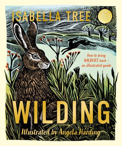 WILDING: HOW TO BRING WILDLIFE BACK - AN