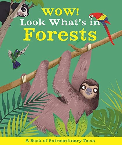 Wow! Look What's In Forests